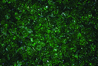 9 Dark Green6.jpg